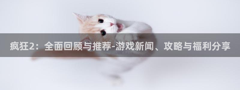 蓝冠娱乐网址注册:疯狂2:全面回顾与推荐-游戏新闻、攻略与福