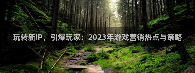 蓝冠娱乐网页登录入口：玩转新IP，引爆玩家：2023年游戏营