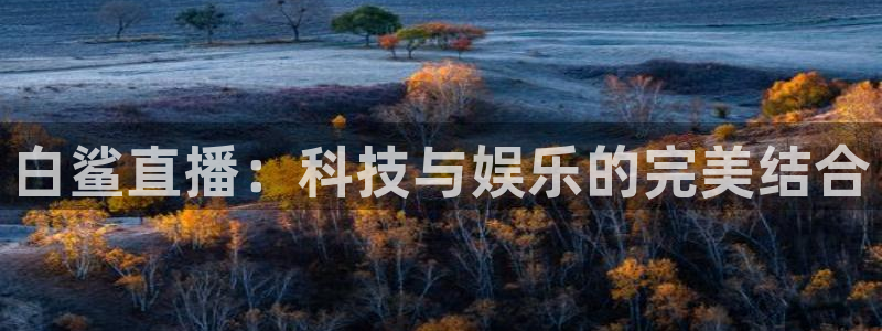 球神直播体育：白鲨直播：科技与娱乐的完美结合
