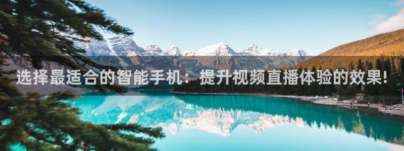 球神足球直播在线观看：选择最适合的智能手机：提升视频直播体验的效果!