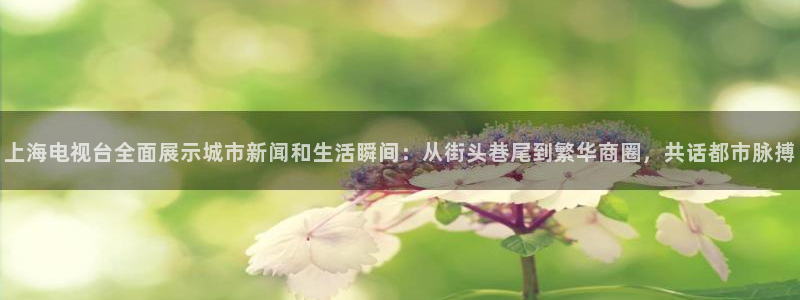 cba直播球神直播：上海电视台全面展示城市新闻和生活瞬间：从街头巷尾到繁华商圈，共话都市脉搏