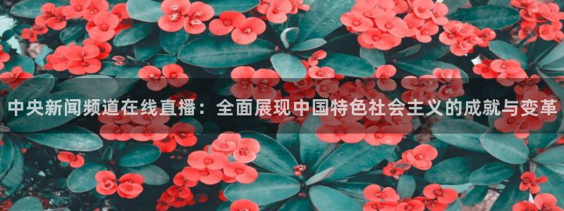 球神足球直播：中央新闻频道在线直播：全面展现中国特色社会主义的成就与变革