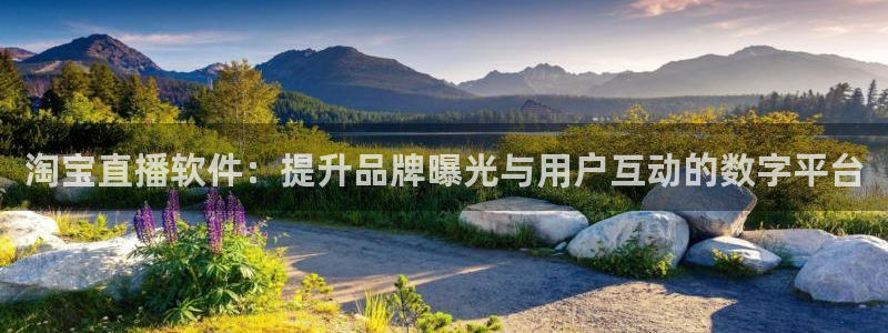球神体育nba直播：淘宝直播软件：提升品牌曝光与用户互动的数字平台