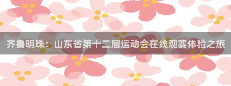 球神直播官网：齐鲁明珠：山东省第十二届运动会在线观赛体验之旅