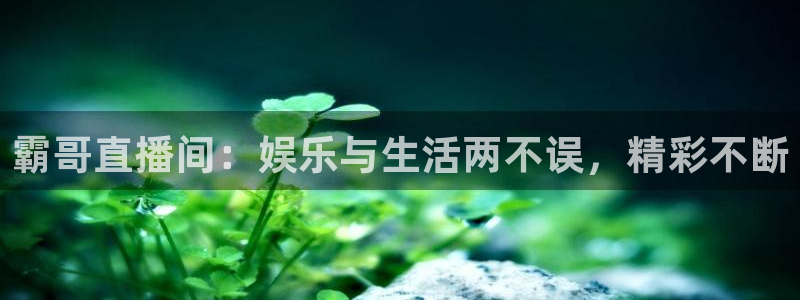球神nba直播：霸哥直播间：娱乐与生活两不误，精彩不断