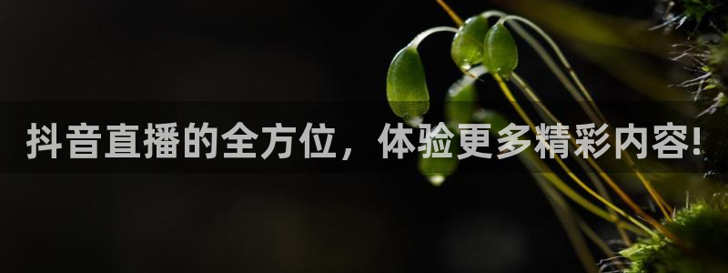 球神直播足球直播：抖音直播的全方位，体验更多精彩内容!